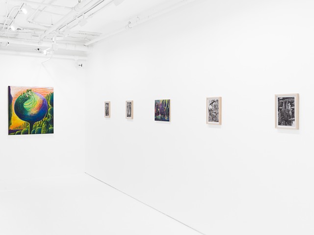 Nesting in Deep Time - Installation View