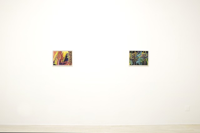 The Intangible Forest - Installation View