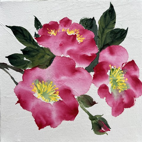 Chinese Painting Workshops: Sitka Rose