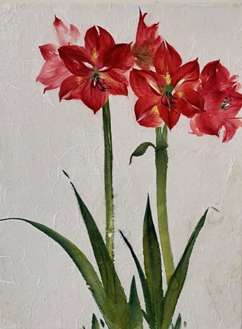 Chinese Painting Workshop: Amaryllis