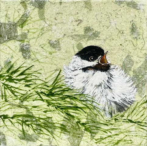 Chickadee Singing