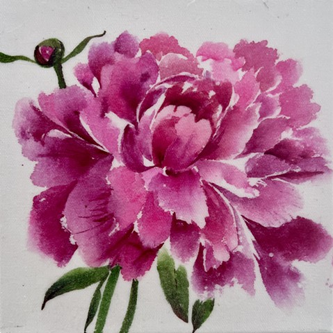 Chinese Painting Workshop: Peony