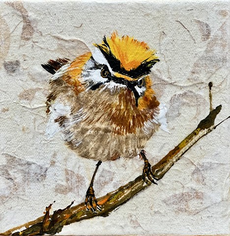 Golden-crowned Kinglet