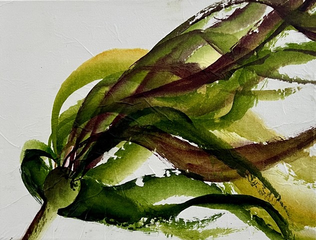 Chinese Painting Workshop: Kelp