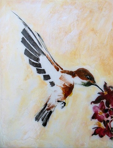 Rufous Hummingbird