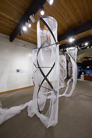 Sharlene Cline's double-helix 