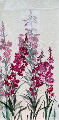 Fireweed Field