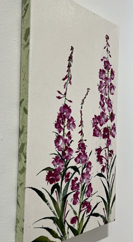 Fireweed side view