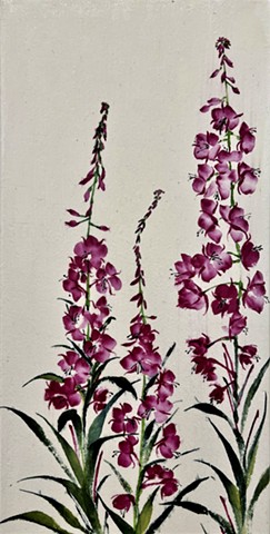 Fireweed