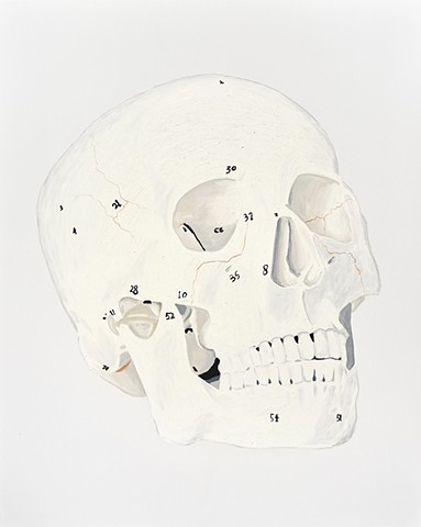 Bio Corporation Ad (Skull)