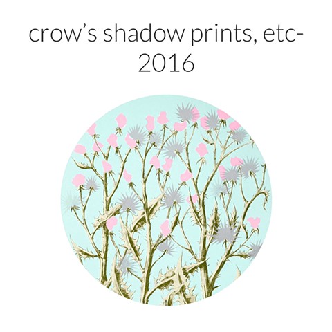 crow's shadow prints- 2016