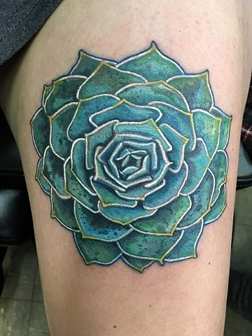 Succulent tattoo blue and green succulent drawing color