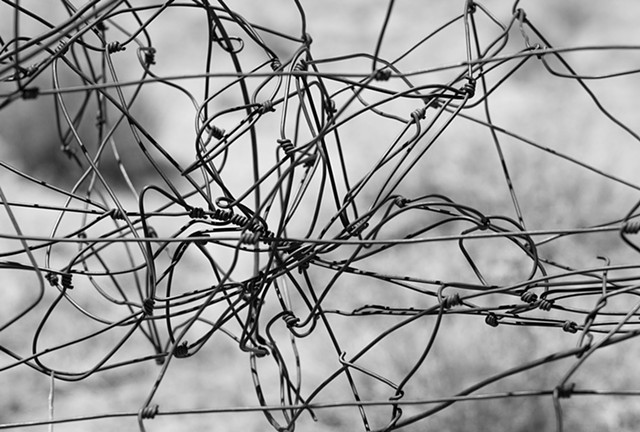 Barbed Wire BW