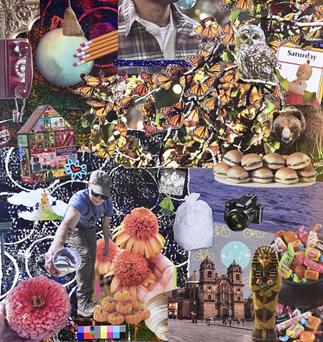 collage on paper with pencils, house, gel printing, sliders, monarch butterflies, an owl and a grizzly bear by holly campbell