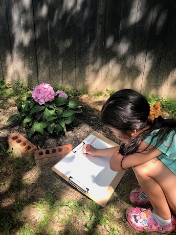 sketching flowers