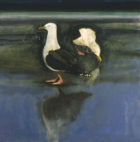 Gulls on Wet Flat