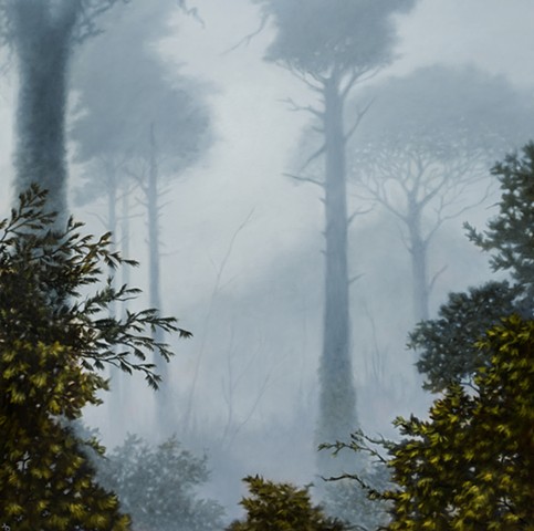 Fog in Sintra