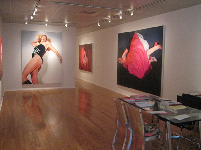Solo Show, David Klein Gallery, MI 2009