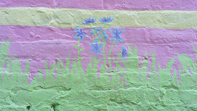 detail of california wild flowers