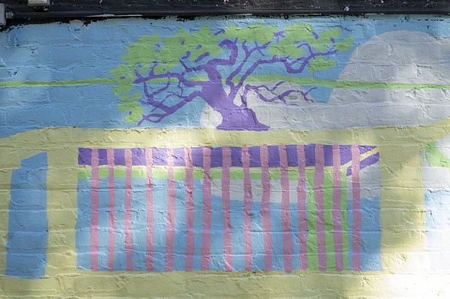 detail of california live oak in dappled sunlight