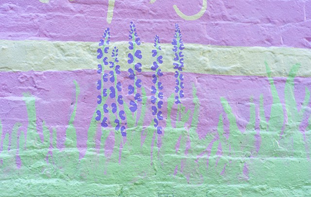 detail of california wild flowers