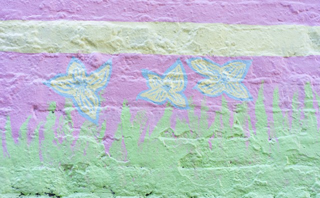 detail of california wild flowers