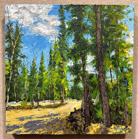 Greenup with Black Spruce