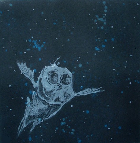 Spookfish