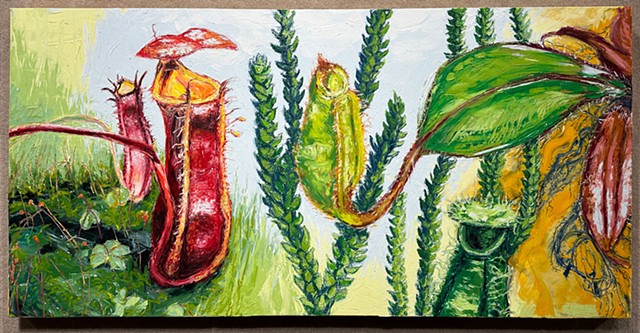 Natura Revelata
