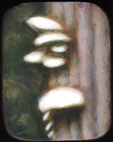 Untitled (Mushroom)