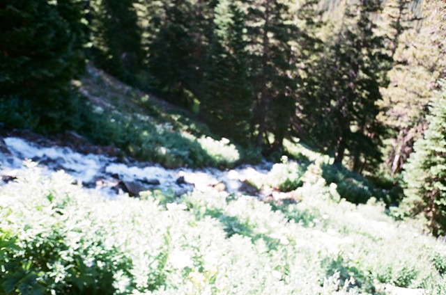 walking in the woods, and heading towards a mountain