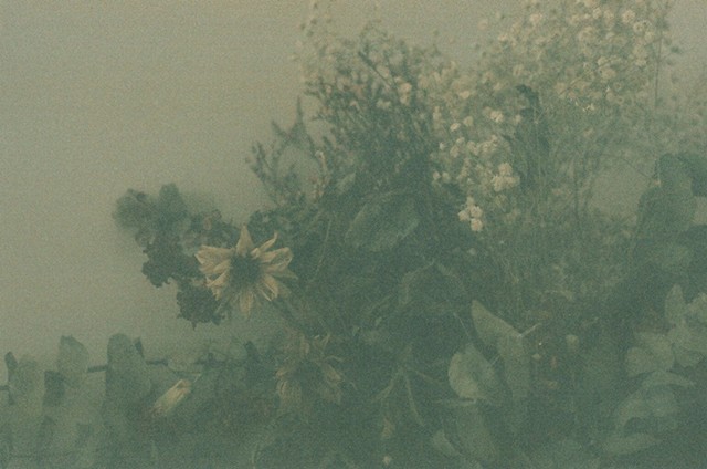 Dried Bouquet of Flowers