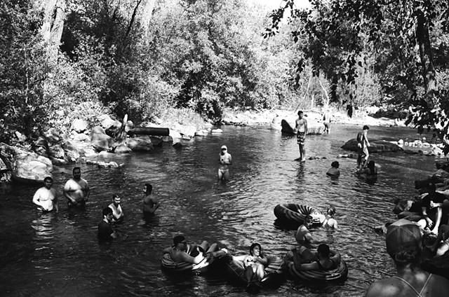 Taking a dip on a warm day in summer