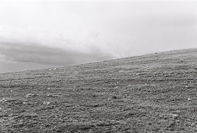 Trail Ridge Road #1