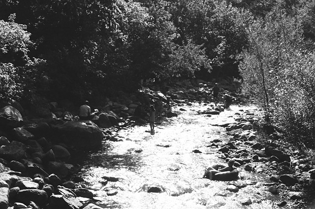 Creek in the Summer