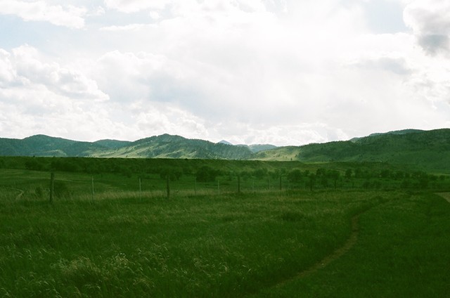 Paint Brush Landscape