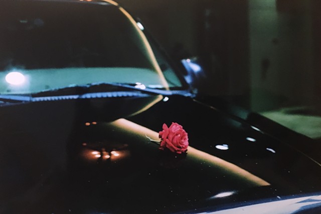 a pink rose on a black hood