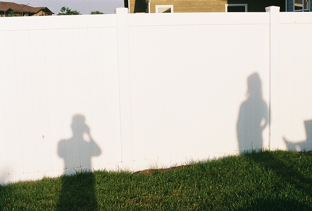 Backyard in Summer