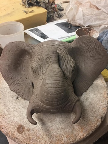 Elephant head
