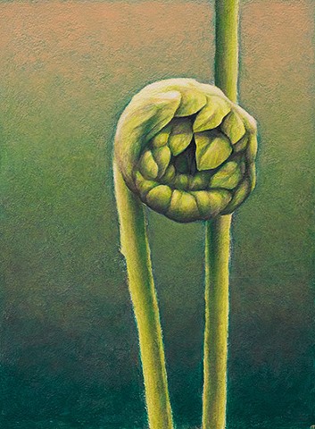 Acrylic painting of new growth of a fern