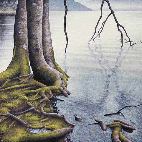 Nothwest realistic landscape trees moss lakeside