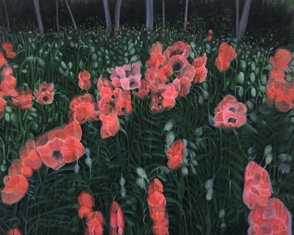 Zoom Poppies