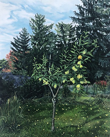 Backyard Pear