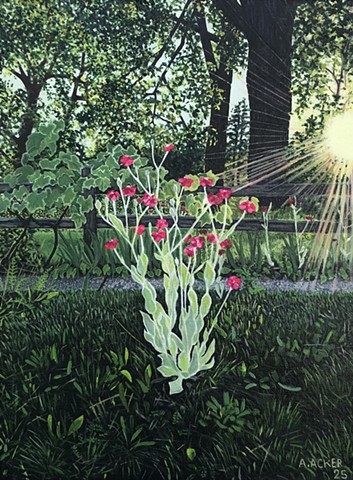 Rose Campion