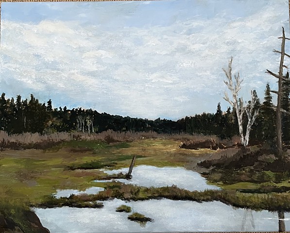 Northern Marsh #1