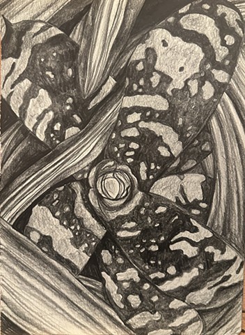 Unititled, Graphite on paper, 2024