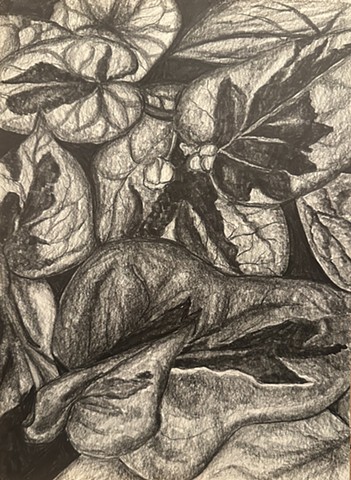 Unititled, Graphite on paper, 2024