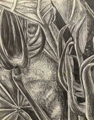 Unititled, Graphite on paper, 2024