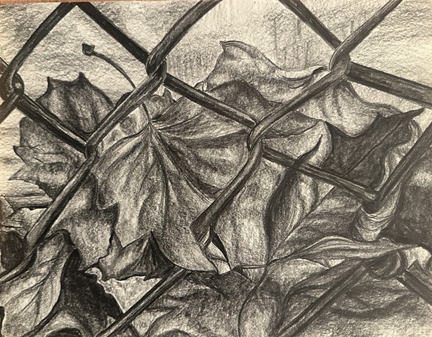 Unititled, Graphite on paper, 2024