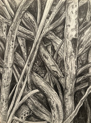 Unititled, Graphite on paper, 2024